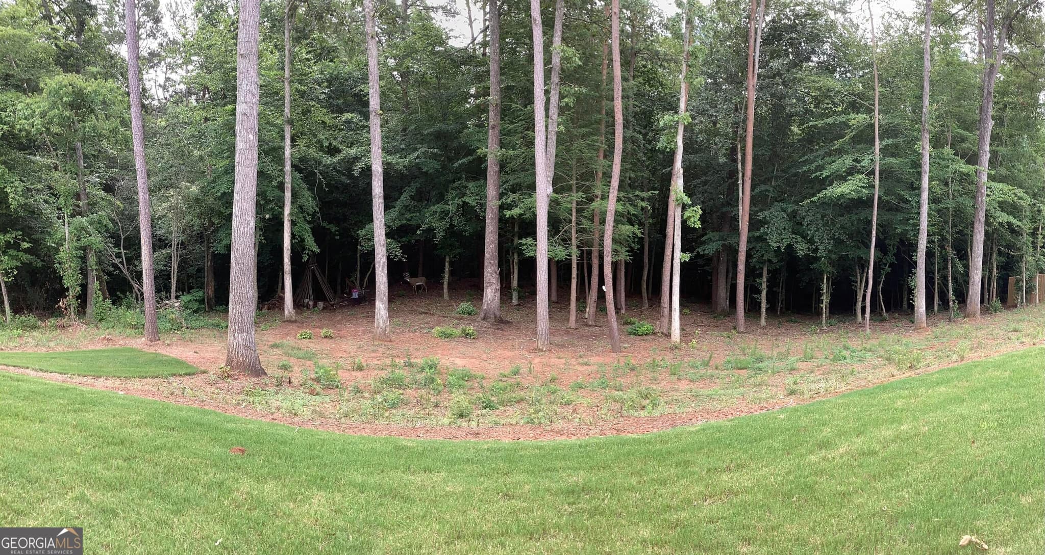 4 bedroom, 3.5 bathroom, 3,304 sq ft single family residence for sale at 72 Highland Pointe Drive, Ellijay, GA 30536 — photo 7