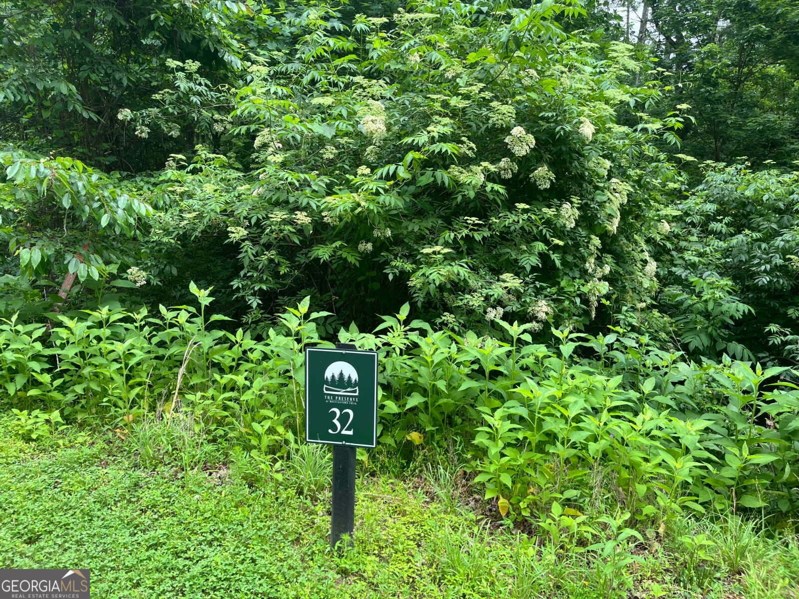residential lot for sale at 32R Roaring Forks Lane, East Ellijay, GA 30540 — photo 2