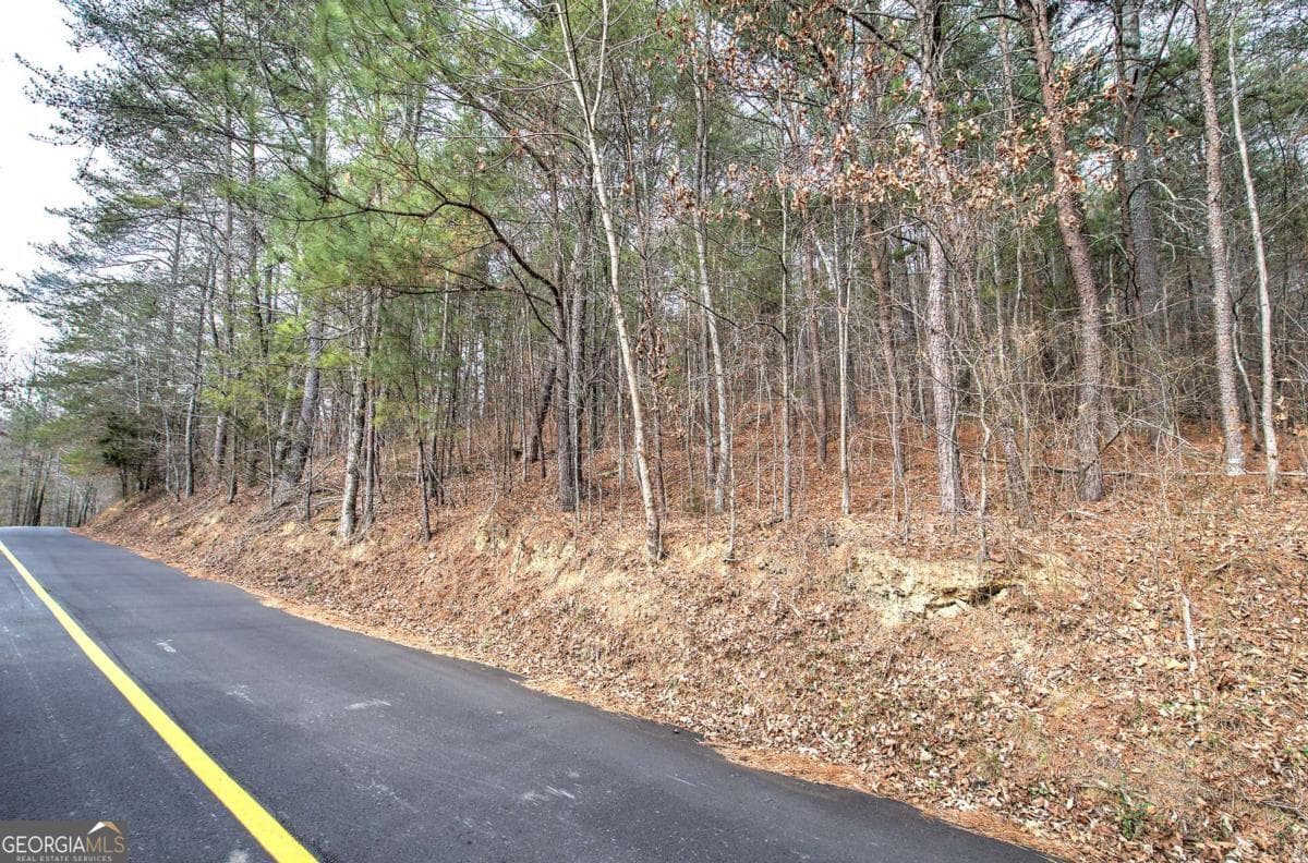 unimproved land for sale at 0 Manning Mill Road, Summerville, GA 30747 — photo 2
