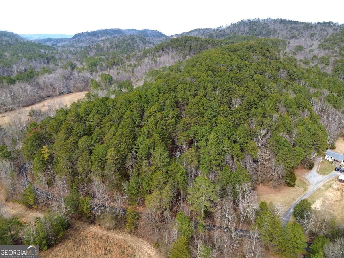 unimproved land for sale at 0 Manning Mill Road, Summerville, GA 30747 — photo 6