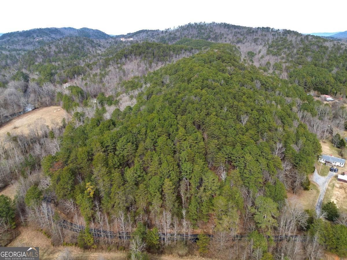 unimproved land for sale at 0 Manning Mill Road, Summerville, GA 30747 — photo 7