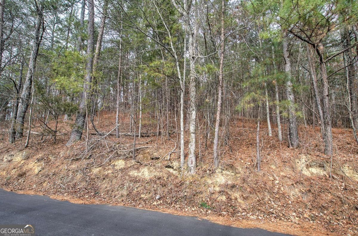 unimproved land for sale at 0 Manning Mill Road, Summerville, GA 30747 — photo 3