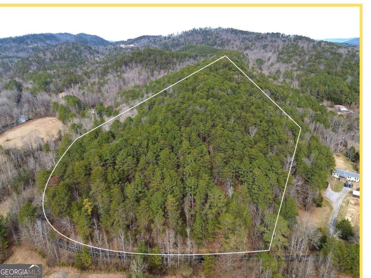 unimproved land for sale at 0 Manning Mill Road, Summerville, GA 30747