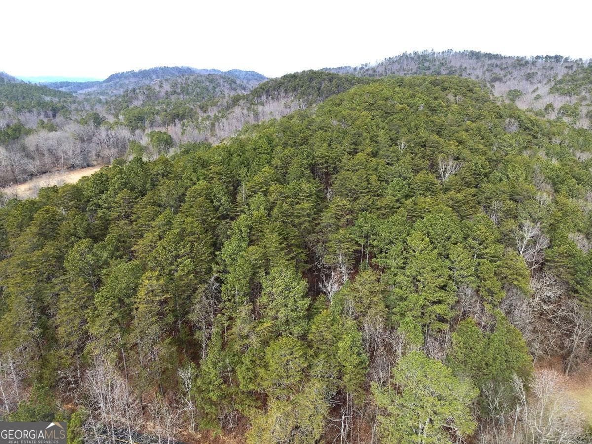 unimproved land for sale at 0 Manning Mill Road, Summerville, GA 30747 — photo 5