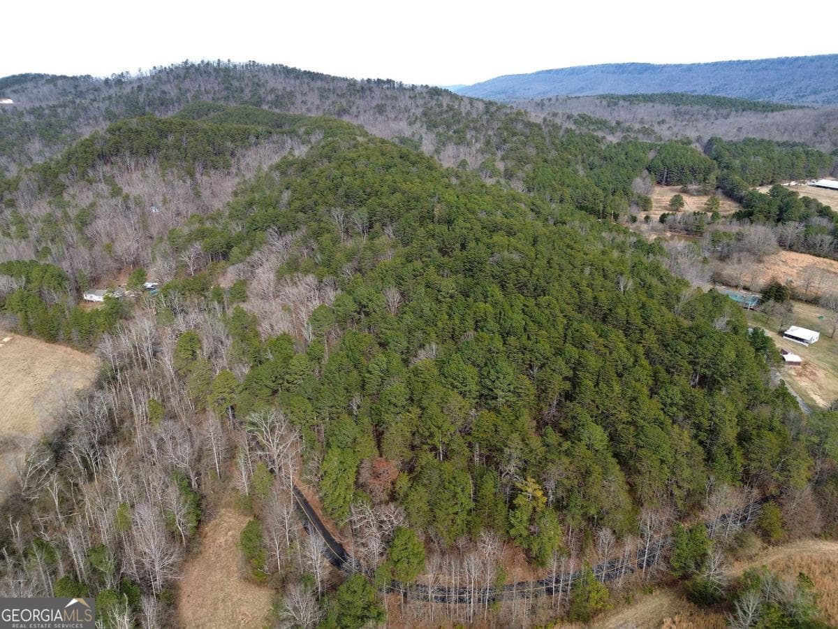 unimproved land for sale at 0 Manning Mill Road, Summerville, GA 30747 — photo 9