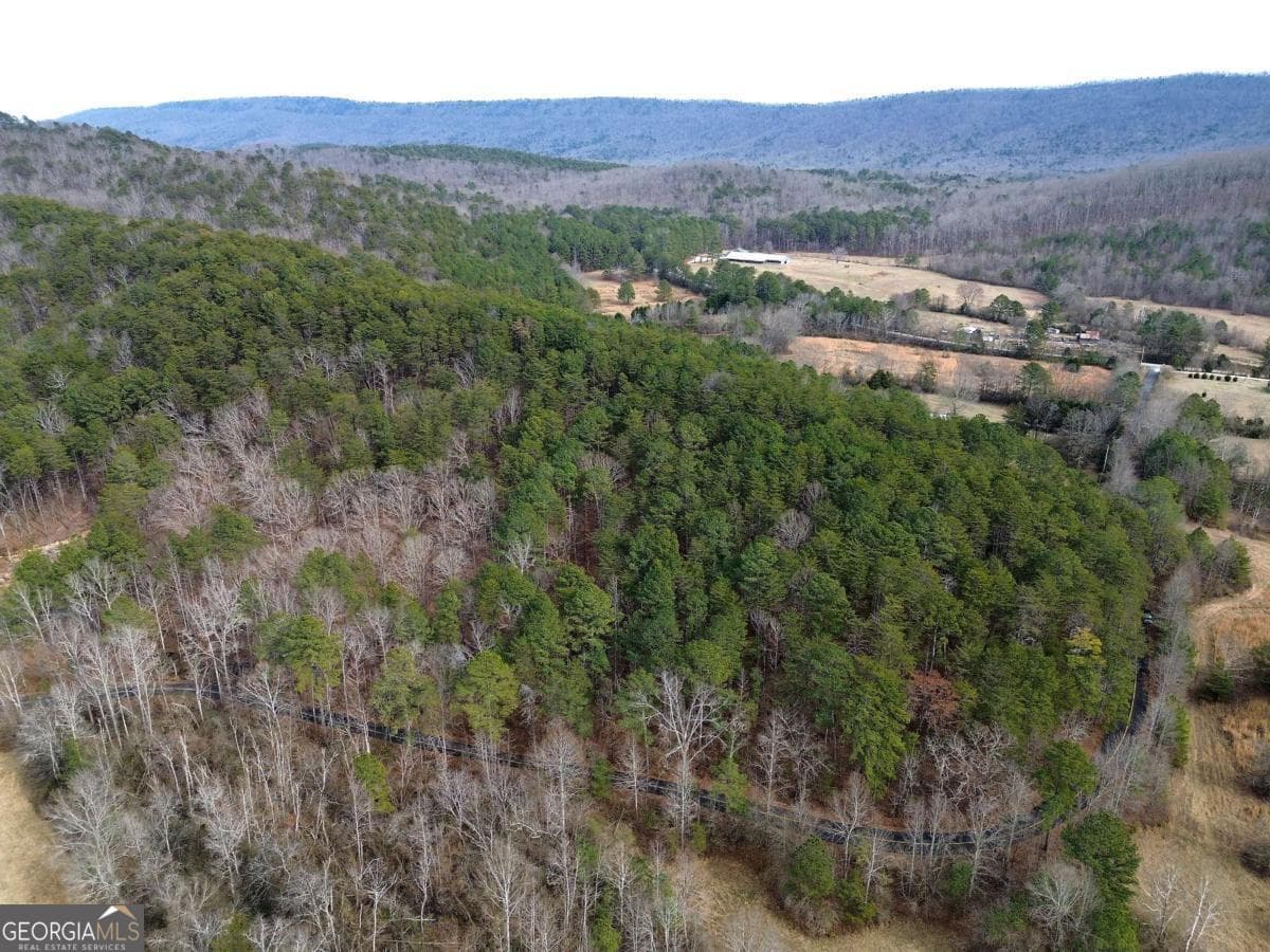 unimproved land for sale at 0 Manning Mill Road, Summerville, GA 30747 — photo 10