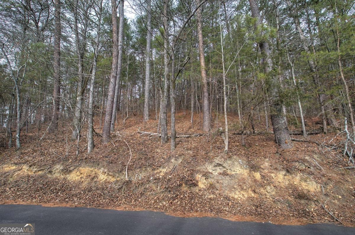 unimproved land for sale at 0 Manning Mill Road, Summerville, GA 30747 — photo 4