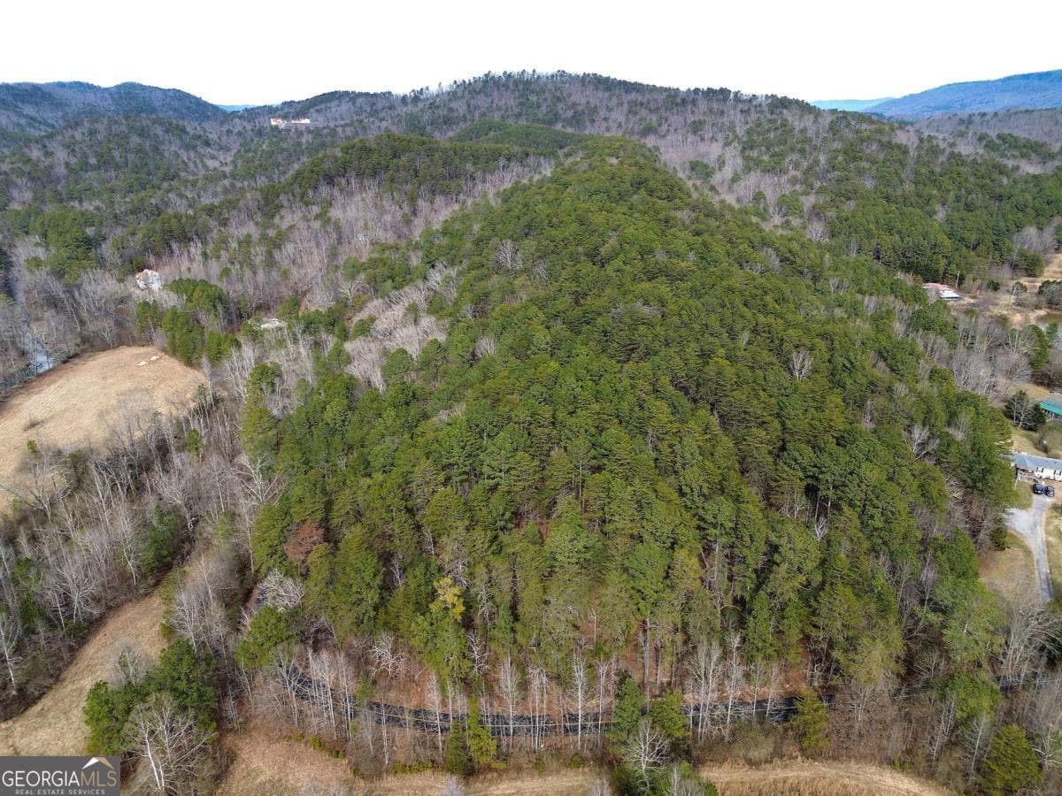 unimproved land for sale at 0 Manning Mill Road, Summerville, GA 30747 — photo 8
