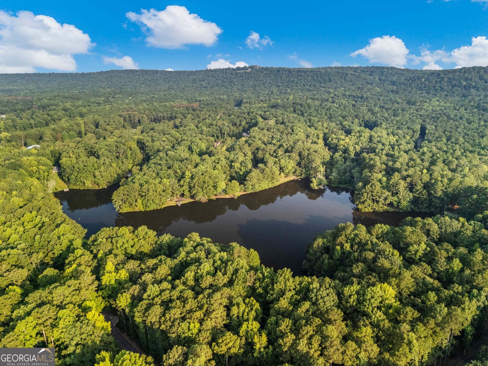 3 bedroom, 2 bathroom, 1,666 sq ft single family residence for sale at 244 Lake Drive, Pine Mountain, GA 31822 — photo 8