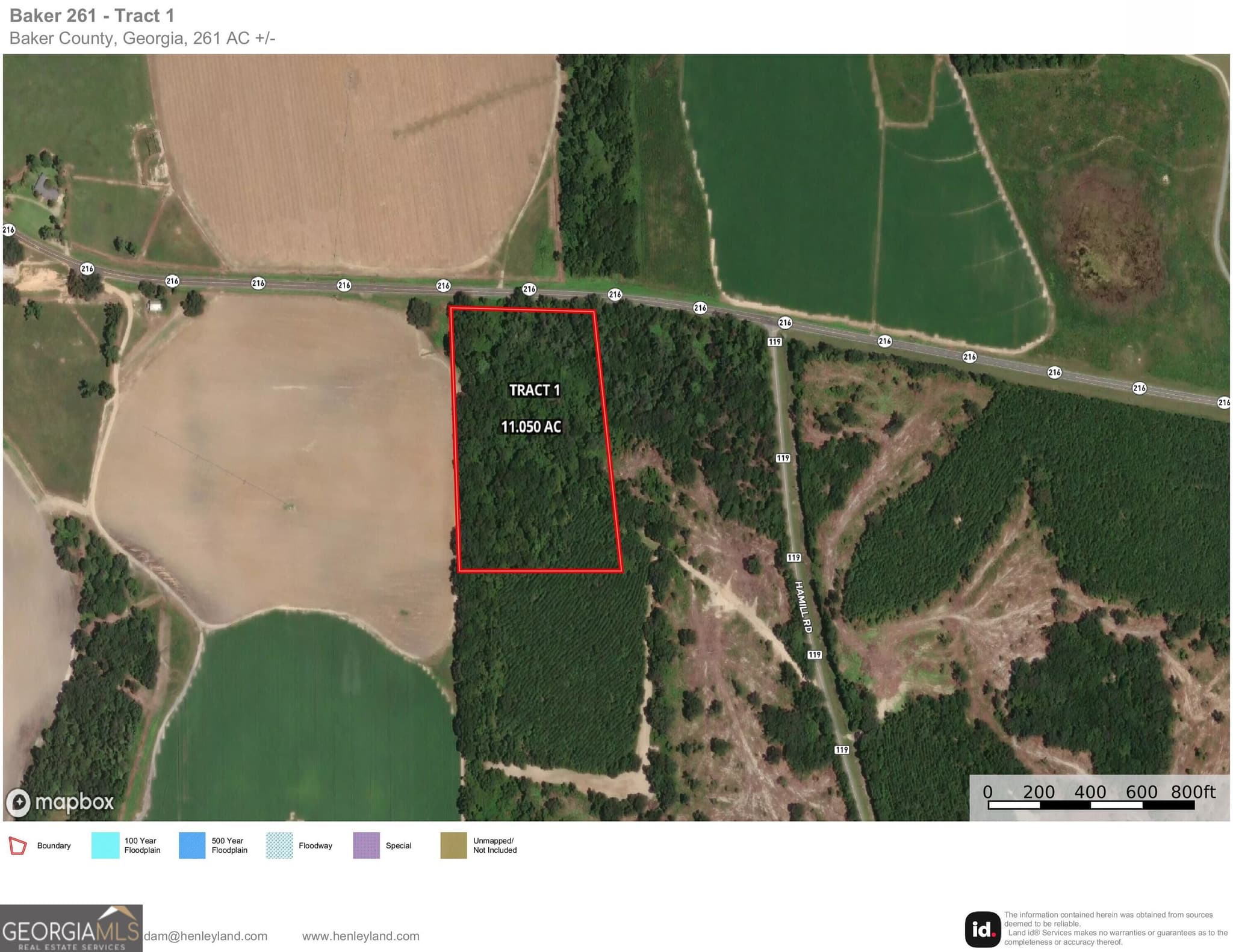 unimproved land for sale at 001 216 Highway, Arlington, GA 39813 — photo 2