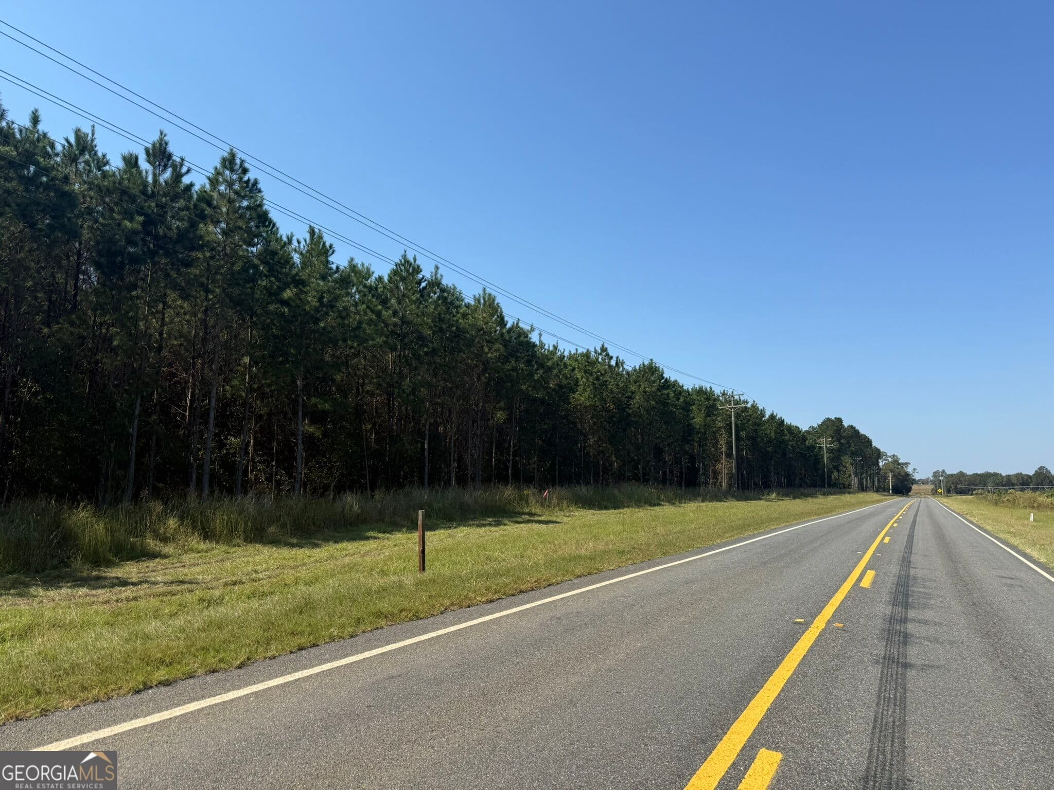 unimproved land for sale at 001 216 Highway, Arlington, GA 39813 — photo 6