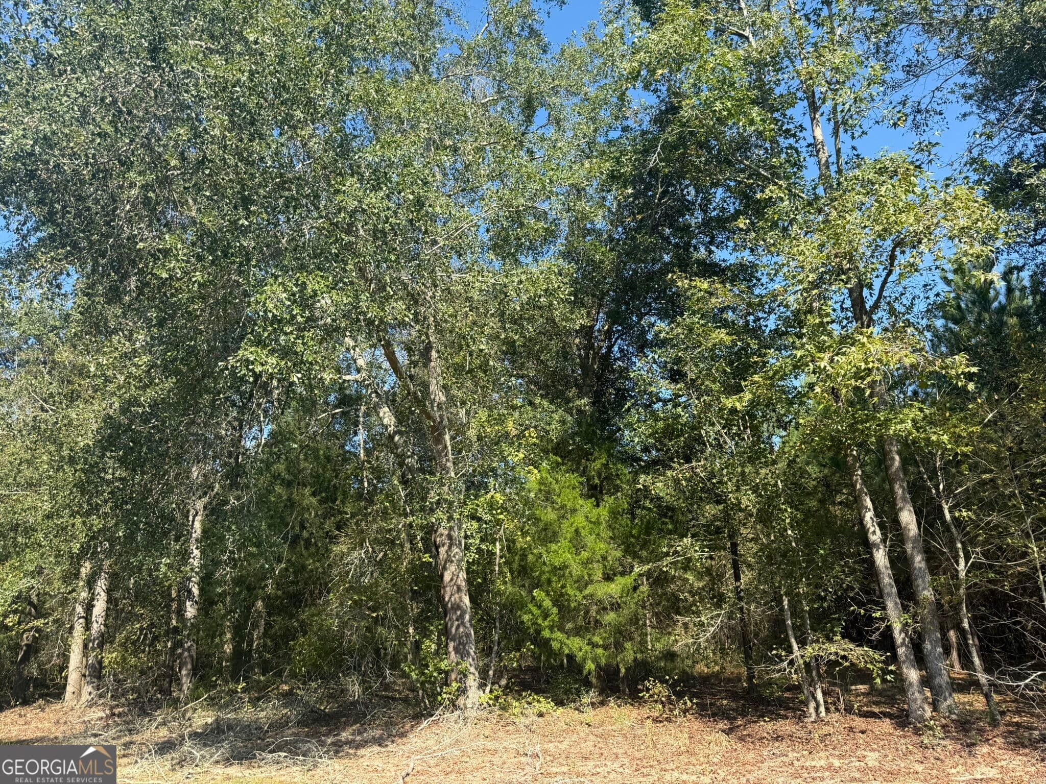 unimproved land for sale at 001 216 Highway, Arlington, GA 39813 — photo 1 of 8