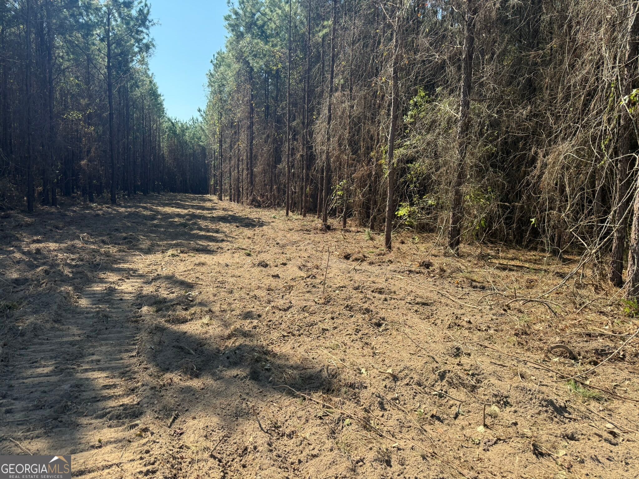 unimproved land for sale at 001 216 Highway, Arlington, GA 39813 — photo 8