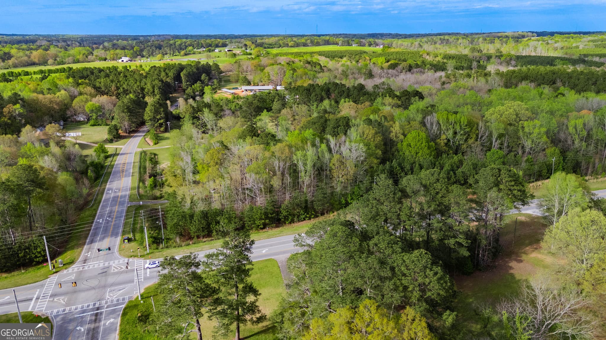unimproved land for sale at 0 Hampton Locust Grove Road, Locust Grove, GA 30248 — photo 7