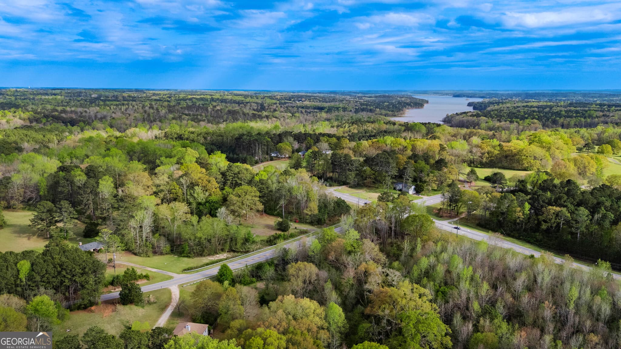 unimproved land for sale at 0 Hampton Locust Grove Road, Locust Grove, GA 30248 — photo 3