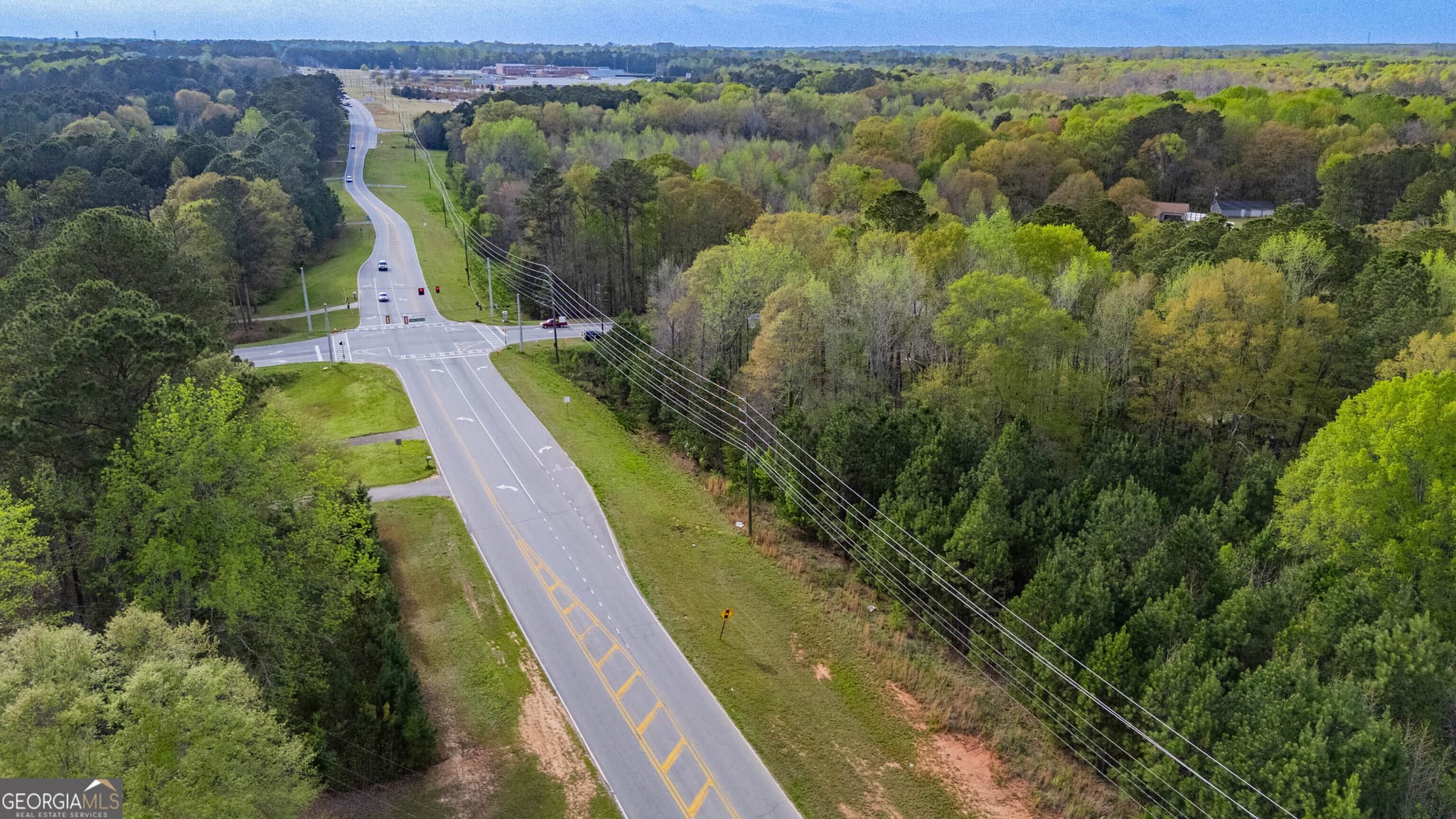 unimproved land for sale at 0 Hampton Locust Grove Road, Locust Grove, GA 30248 — photo 9