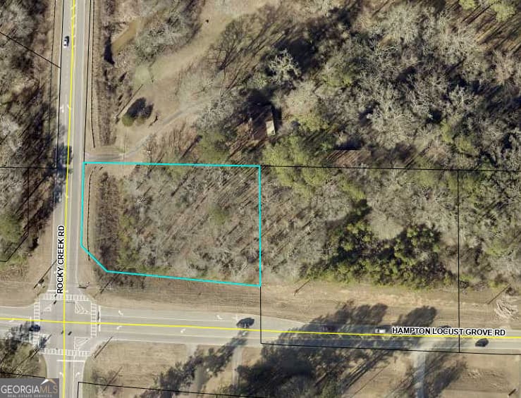 unimproved land for sale at 0 Hampton Locust Grove Road, Locust Grove, GA 30248 — photo 10