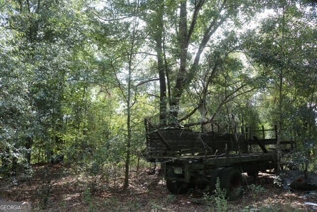 unimproved land for sale at 196 Gumlog Road, Kite, GA 31049 — photo 6