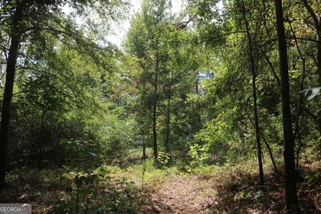 unimproved land for sale at 196 Gumlog Road, Kite, GA 31049 — photo 7