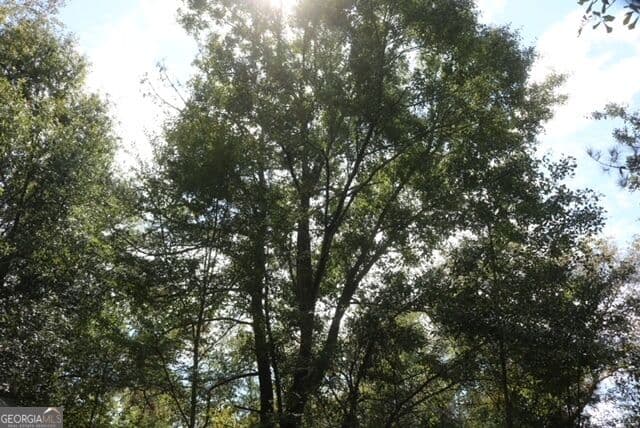 unimproved land for sale at 196 Gumlog Road, Kite, GA 31049 — photo 5