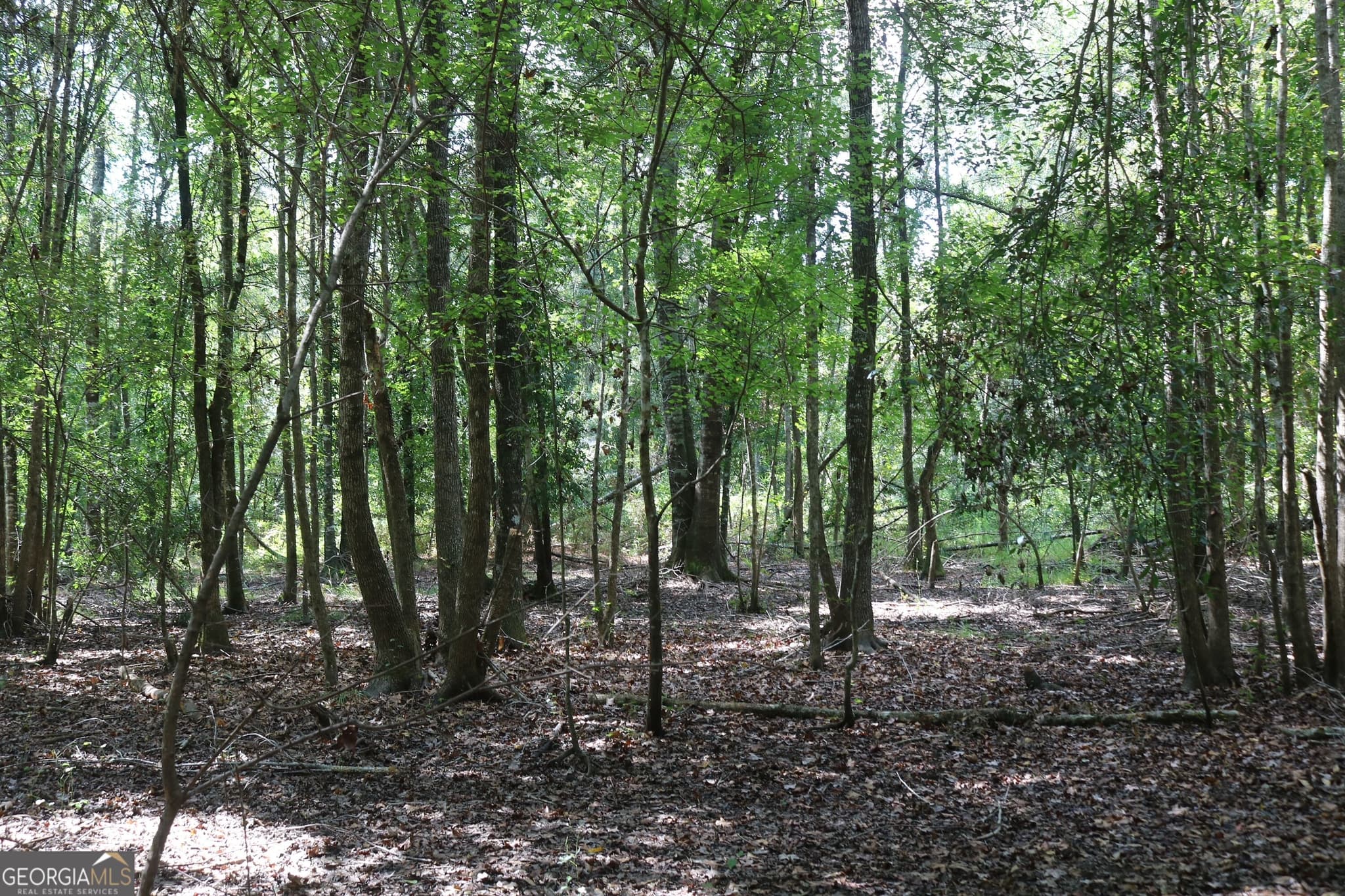 unimproved land for sale at 196 Gumlog Road, Kite, GA 31049 — photo 9