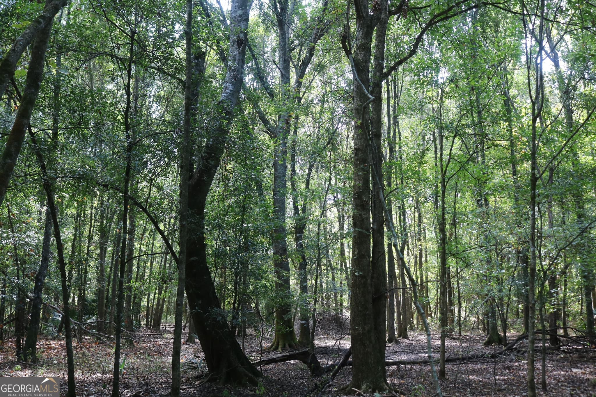 unimproved land for sale at 196 Gumlog Road, Kite, GA 31049 — photo 10
