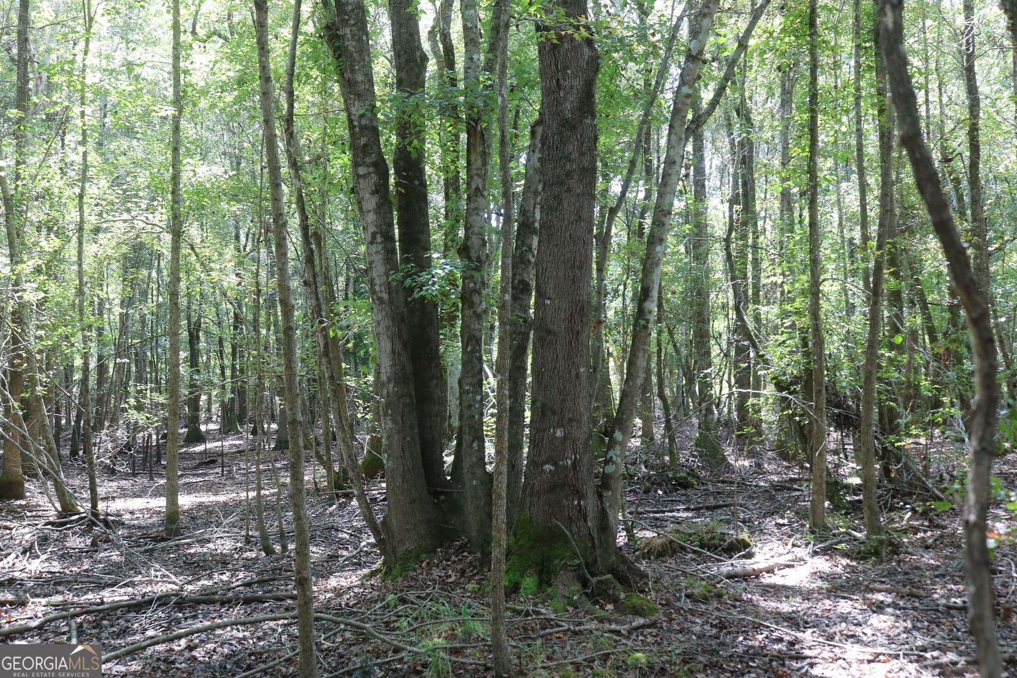 unimproved land for sale at 196 Gumlog Road, Kite, GA 31049 — photo 8