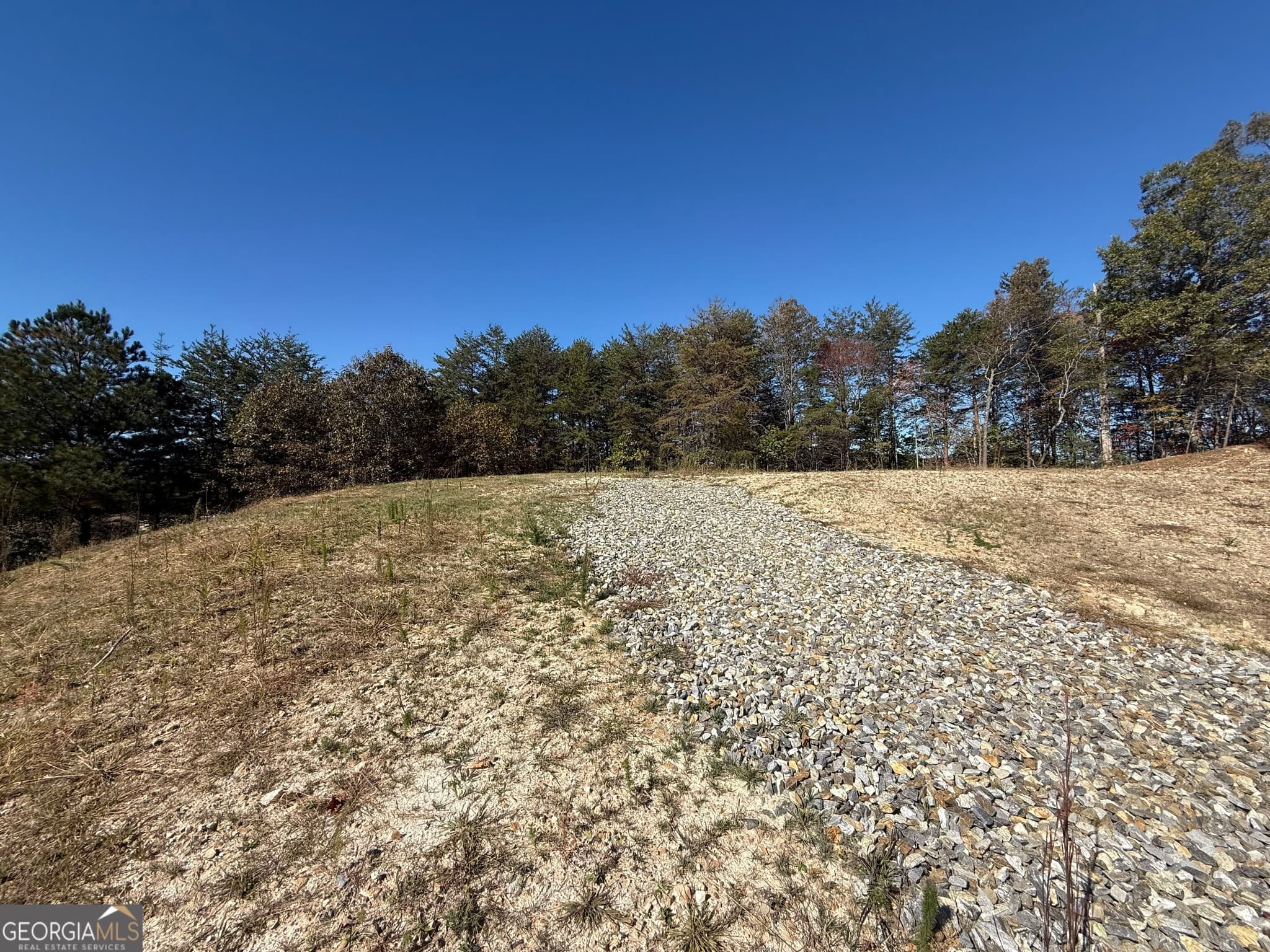 residential lot for sale at LOT 11 Lindsey Lane, Blue Ridge, GA 30513 — photo 6