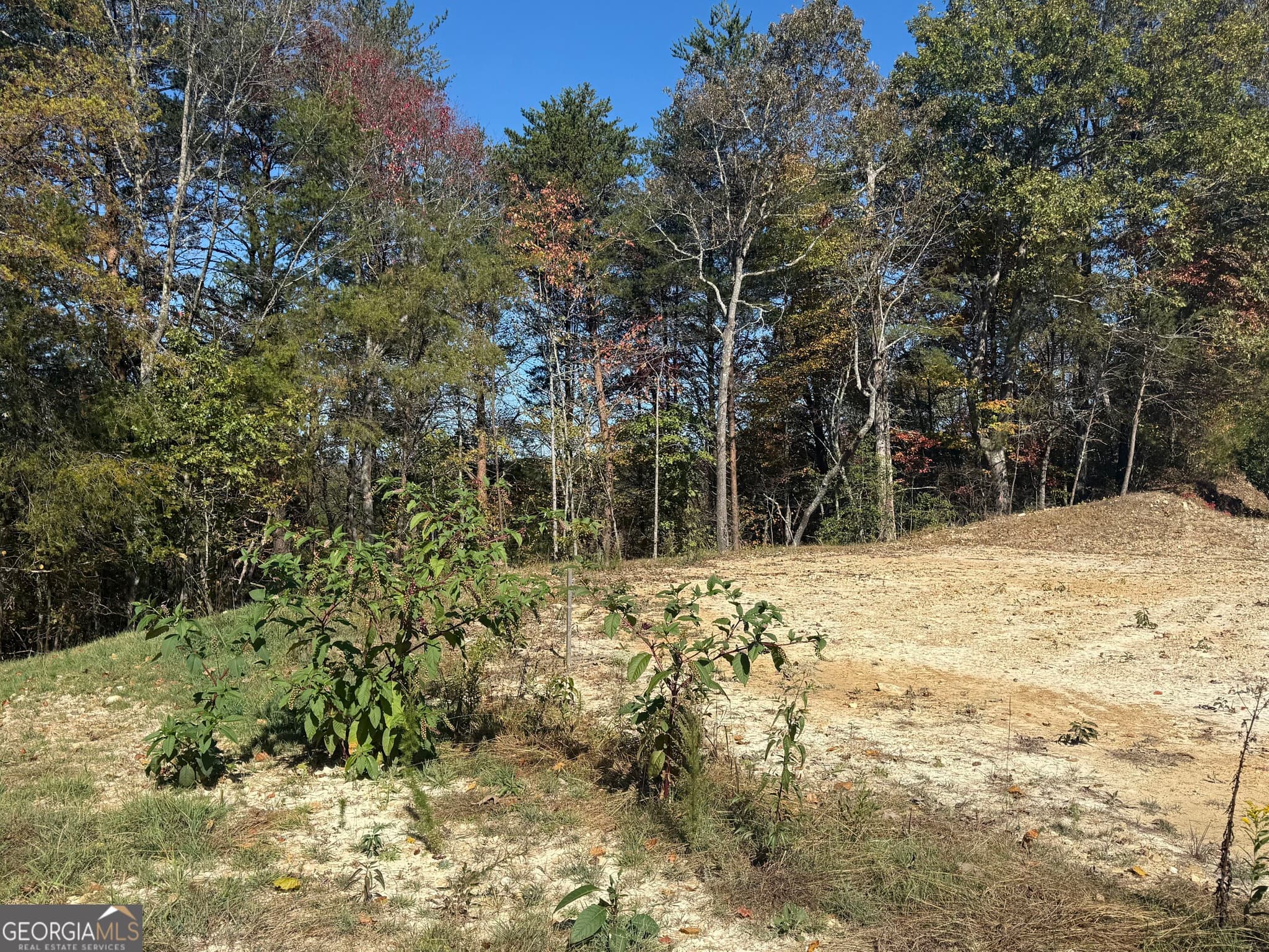residential lot for sale at LOT 11 Lindsey Lane, Blue Ridge, GA 30513 — photo 9