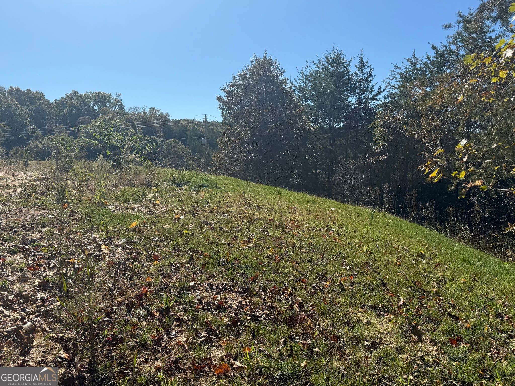 residential lot for sale at LOT 11 Lindsey Lane, Blue Ridge, GA 30513 — photo 10