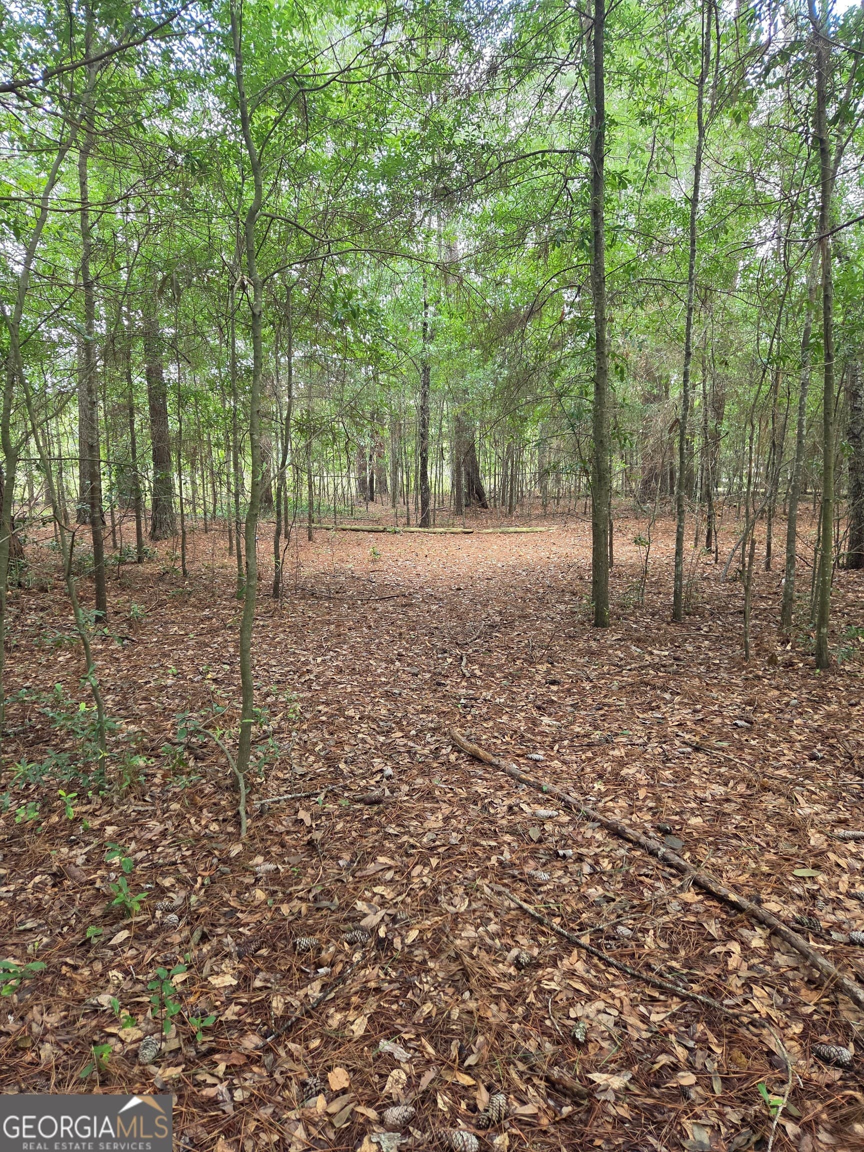 residential lot for sale at 0 Fairway Lane, Hawkinsville, GA 31036 — photo 2