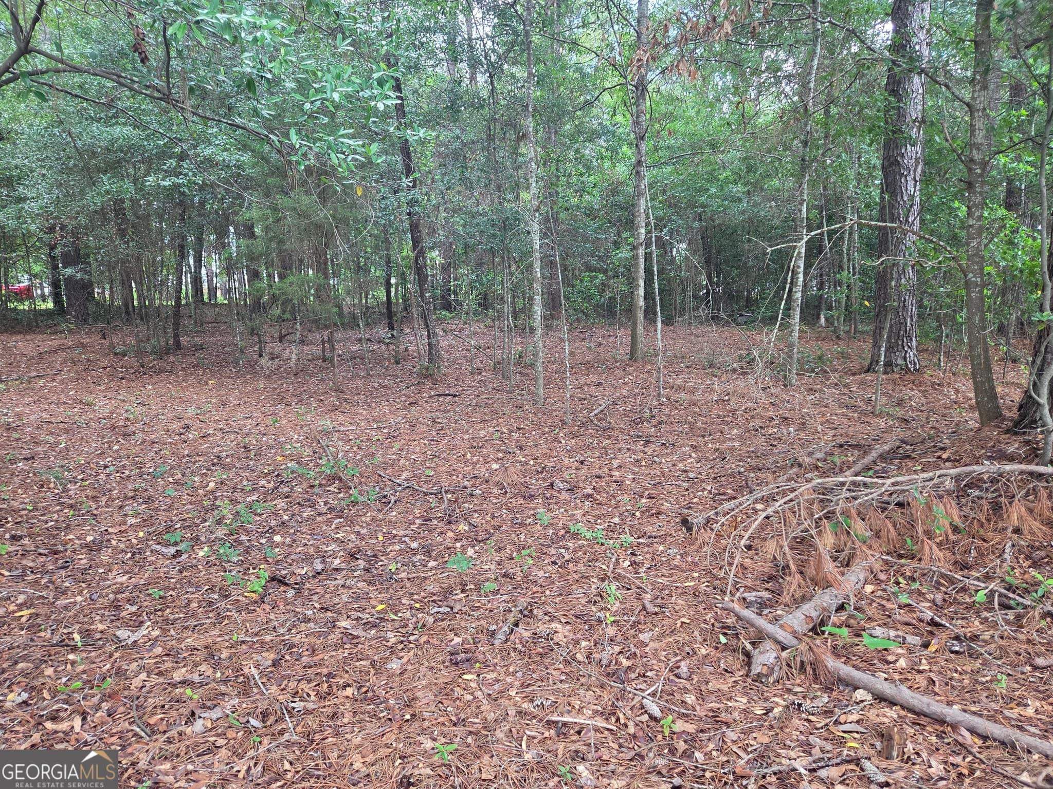 residential lot for sale at 0 Fairway Lane, Hawkinsville, GA 31036 — photo 6
