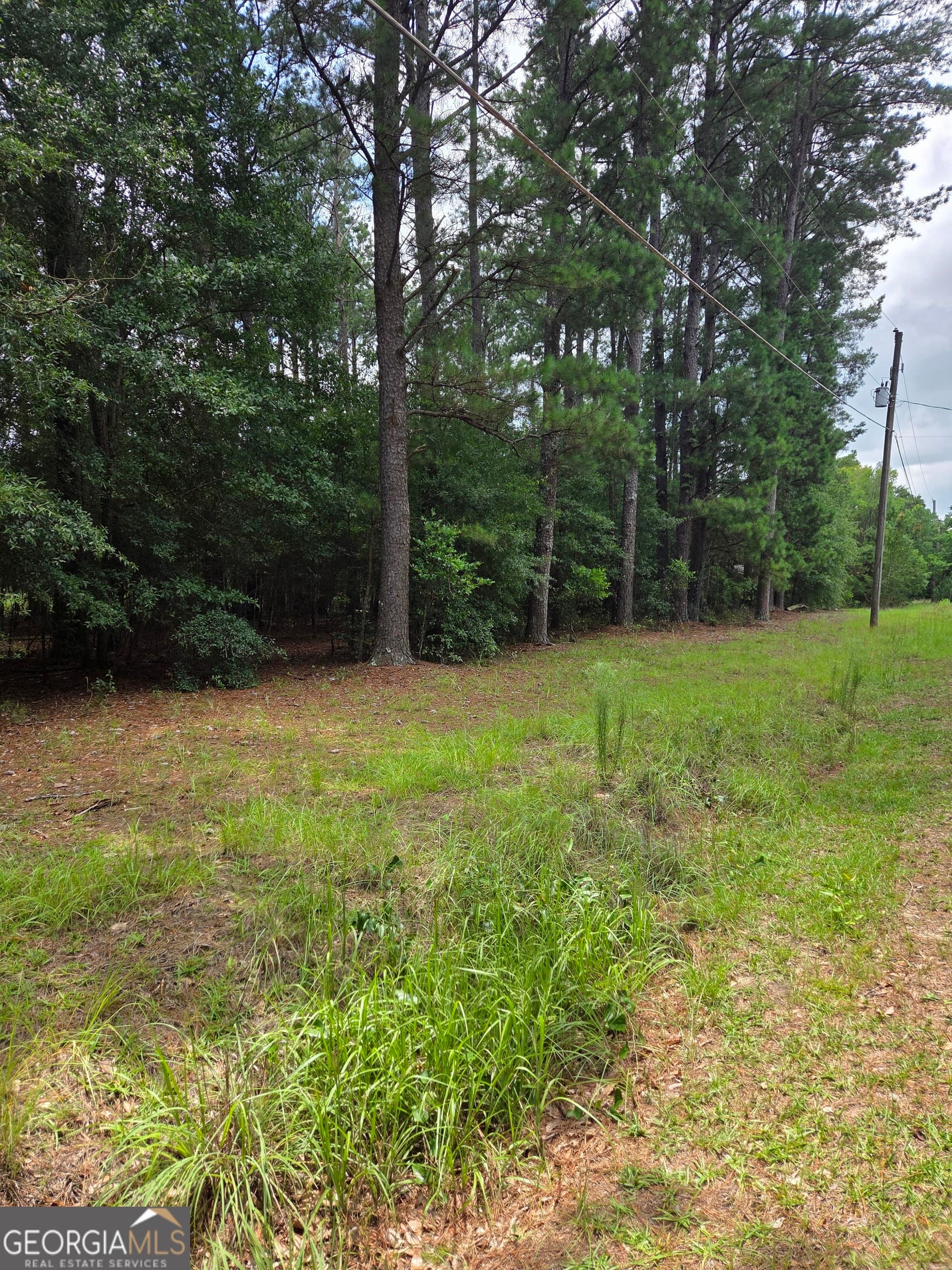 residential lot for sale at 0 Fairway Lane, Hawkinsville, GA 31036 — photo 7