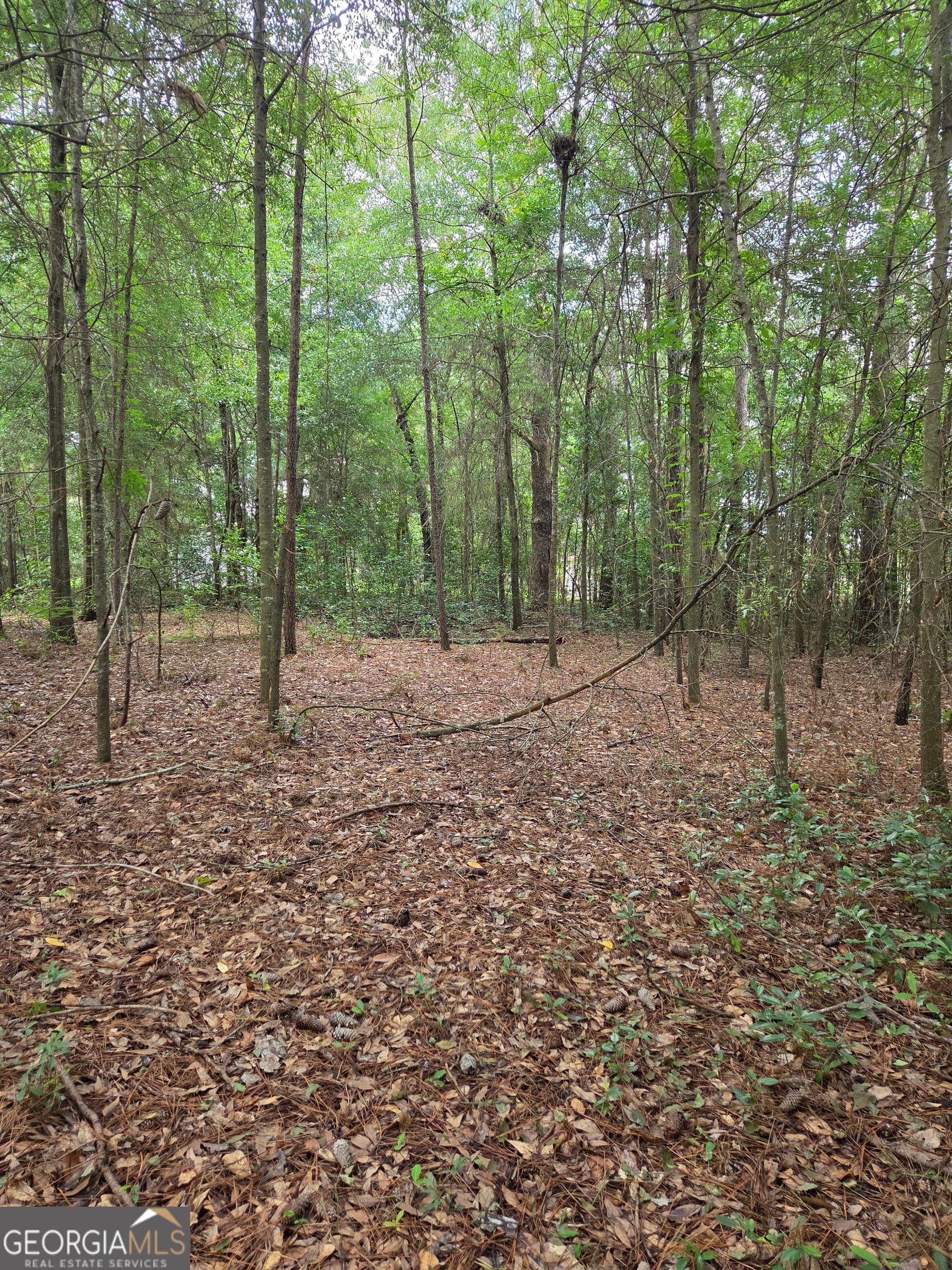 residential lot for sale at 0 Fairway Lane, Hawkinsville, GA 31036 — photo 3