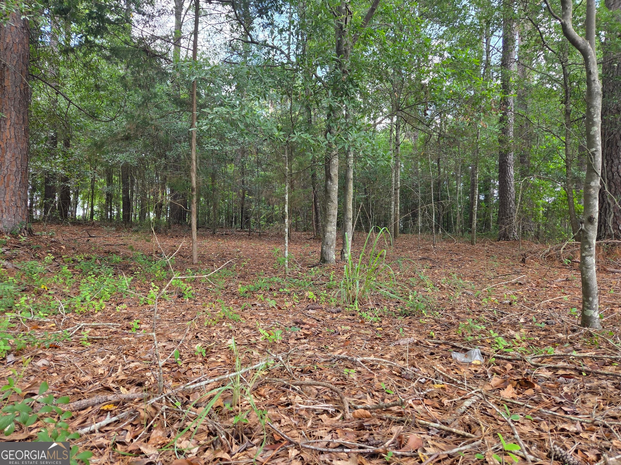 residential lot for sale at 0 Fairway Lane, Hawkinsville, GA 31036 — photo 5