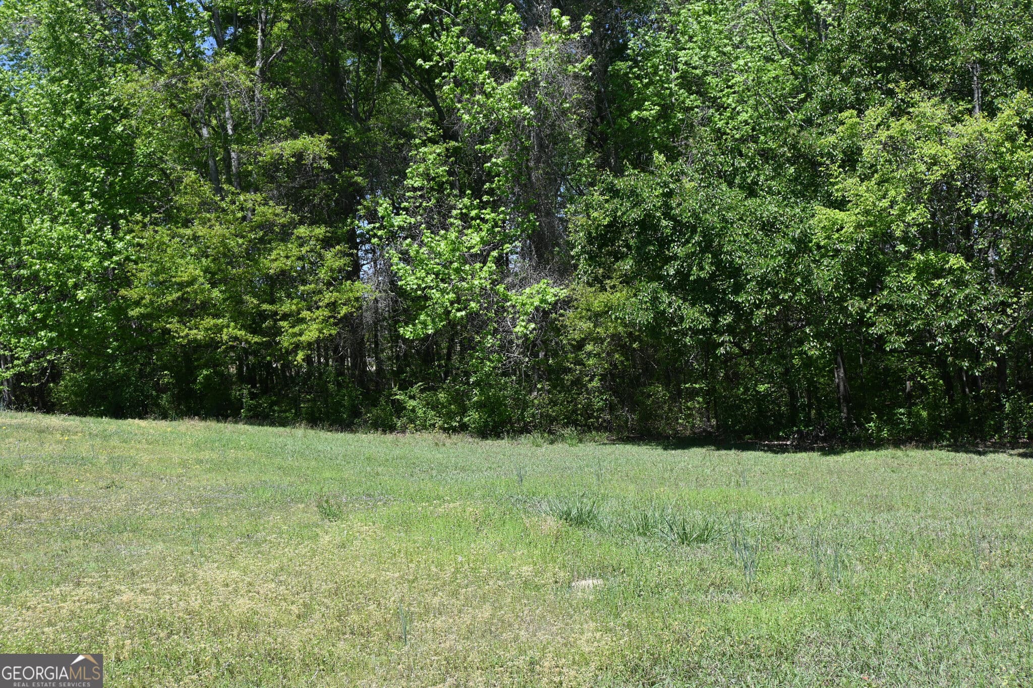 4 bedroom, 3.5 bathroom, 2,859 sq ft single family residence for sale at 2755 Langley Road, Loganville, GA 30052 — photo 9