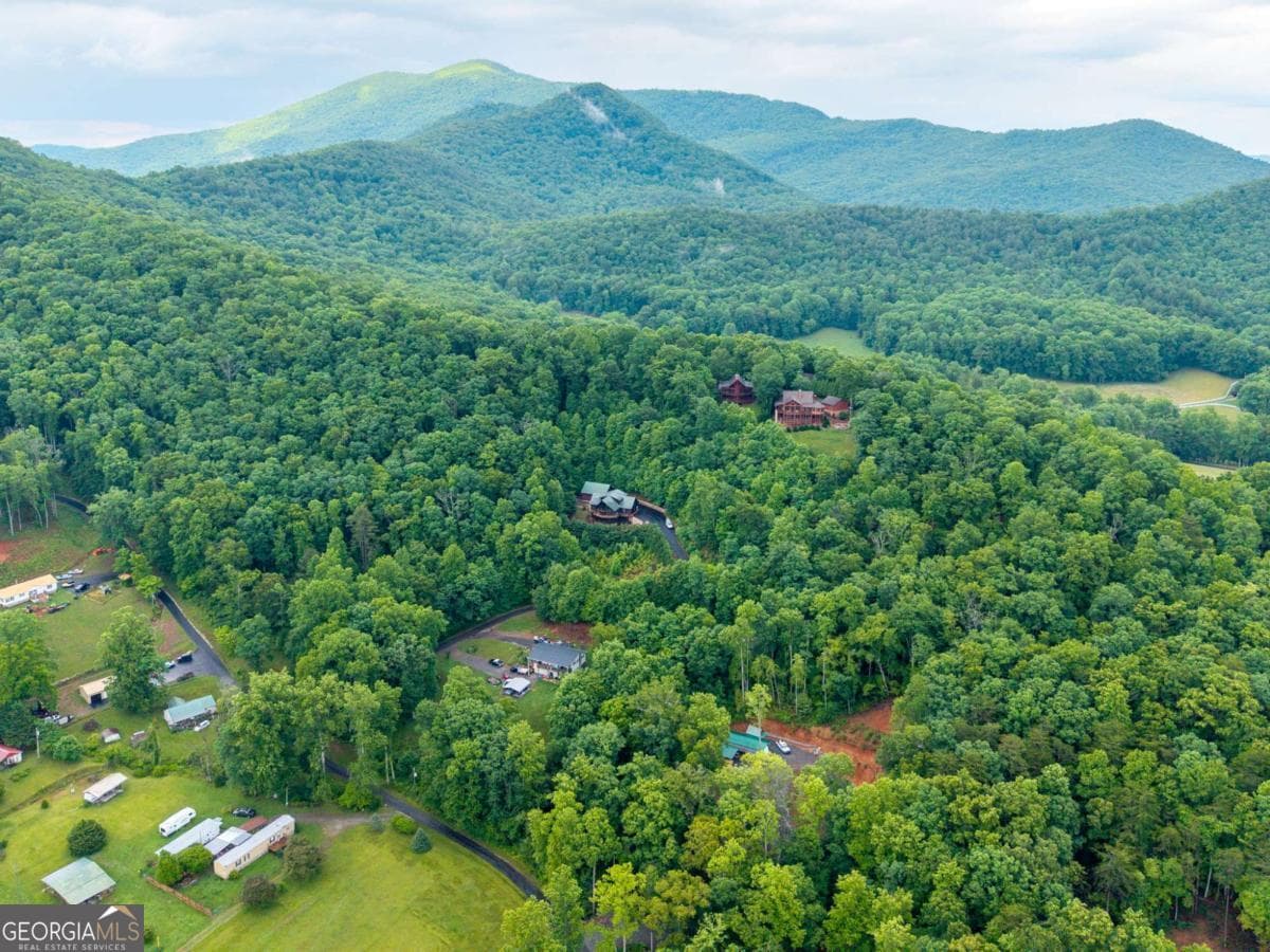 5 bedroom, 3.5 bathroom, 3,896 sq ft cabin,single family residence for sale at 101 Cletus Way, Hiawassee, GA 30546 — photo 6