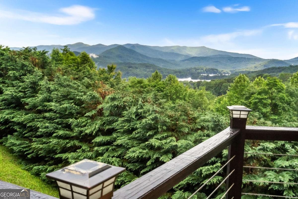 5 bedroom, 3.5 bathroom, 3,896 sq ft cabin,single family residence for sale at 101 Cletus Way, Hiawassee, GA 30546 — photo 3
