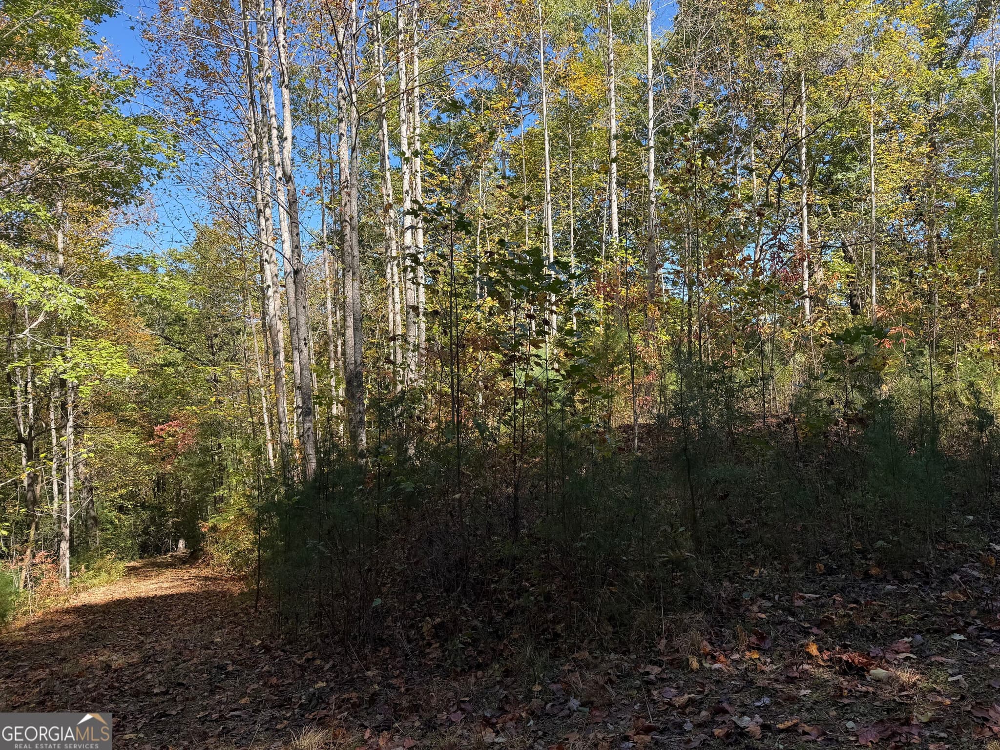 agriculture for sale at 0 Benny Mtn Road LOT A, Clayton, GA 30525 — photo 3