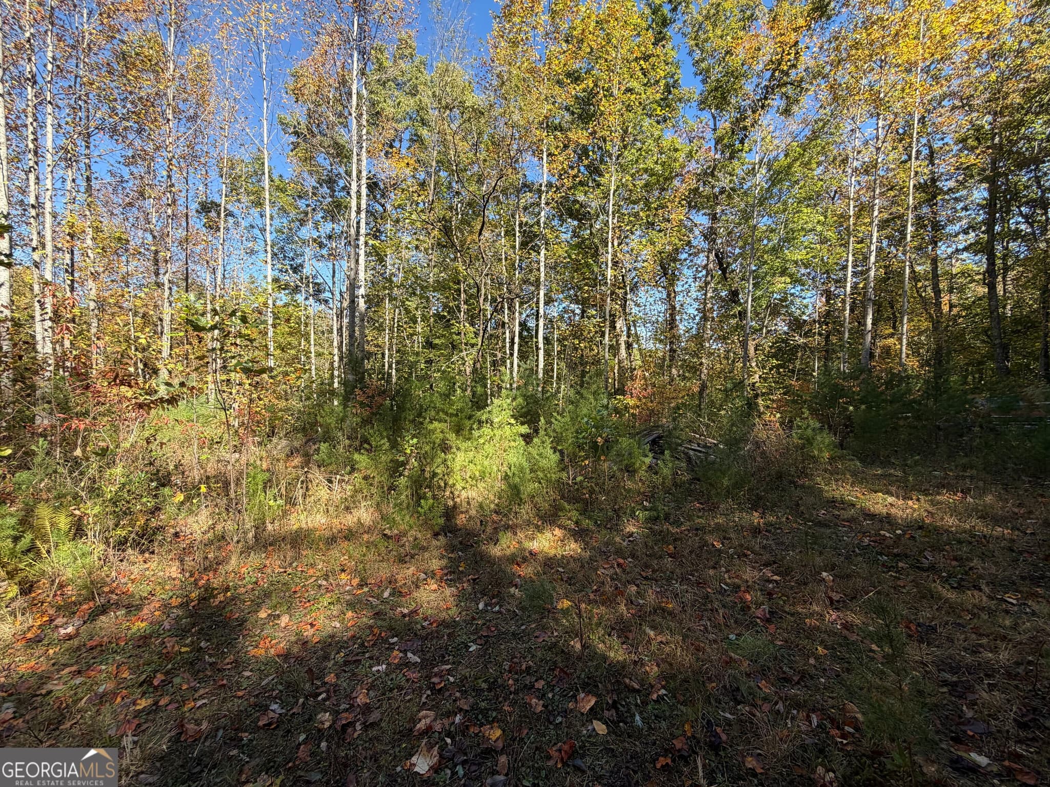 agriculture for sale at 0 Benny Mtn Road LOT A, Clayton, GA 30525