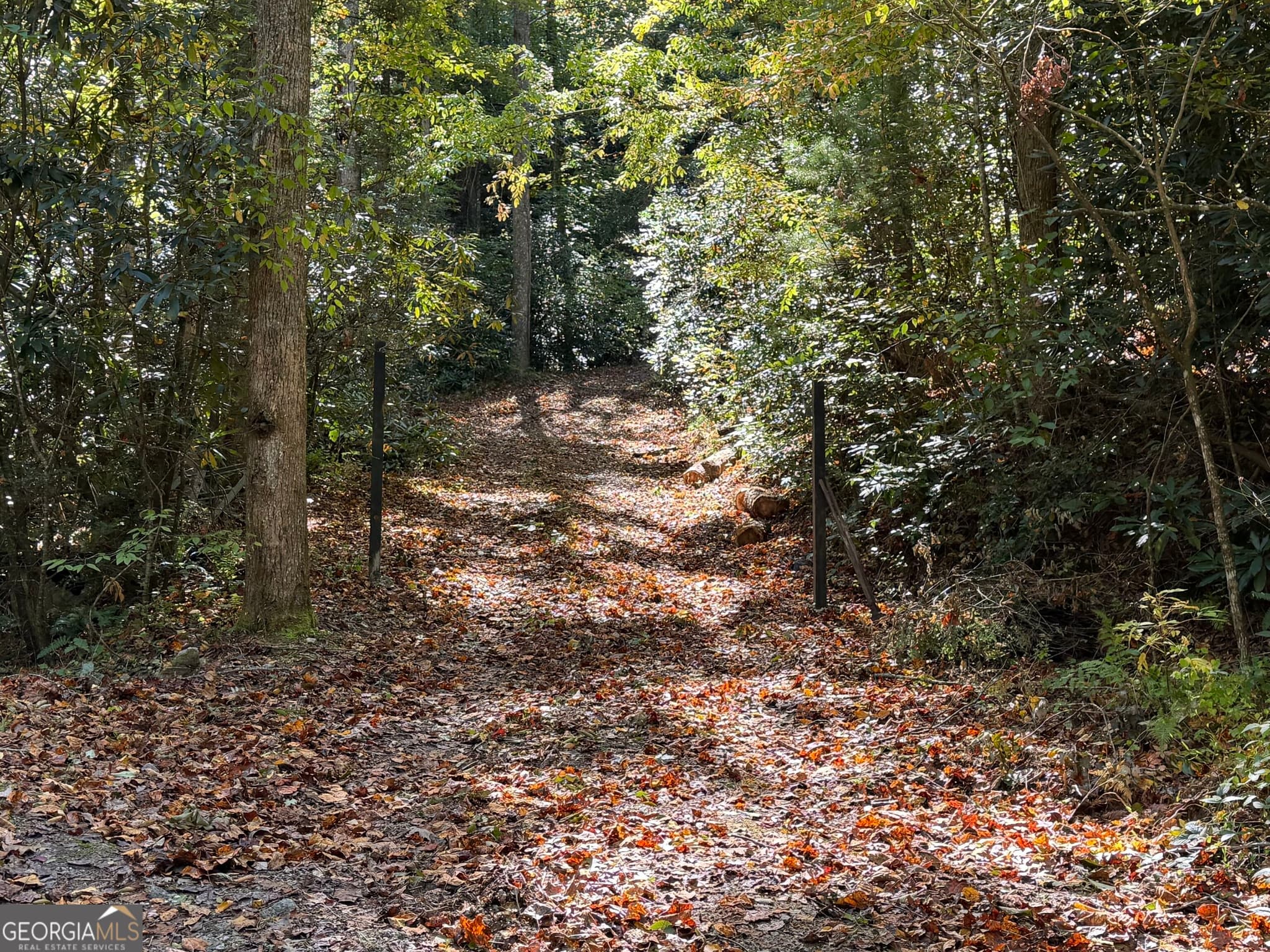 agriculture for sale at 0 Benny Mtn Road LOT A, Clayton, GA 30525 — photo 4