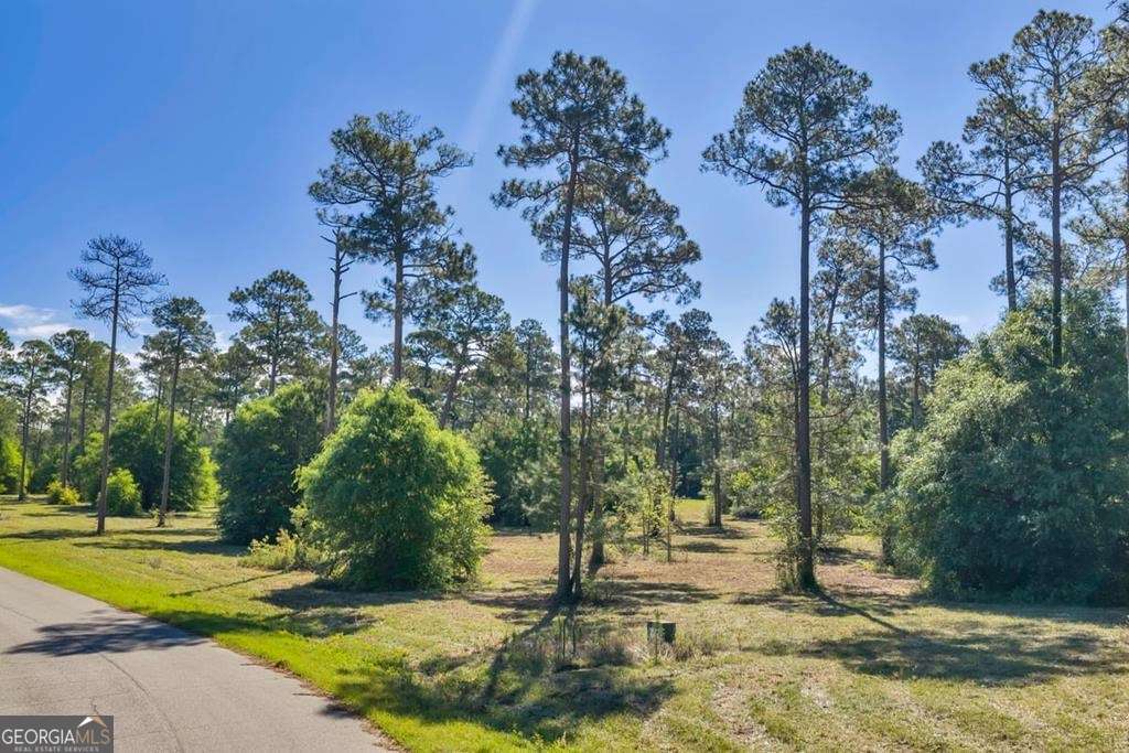 residential lot for sale at 0 Swann Drive LOT 46 BLOCK A, Cordele, GA 31015 — photo 8