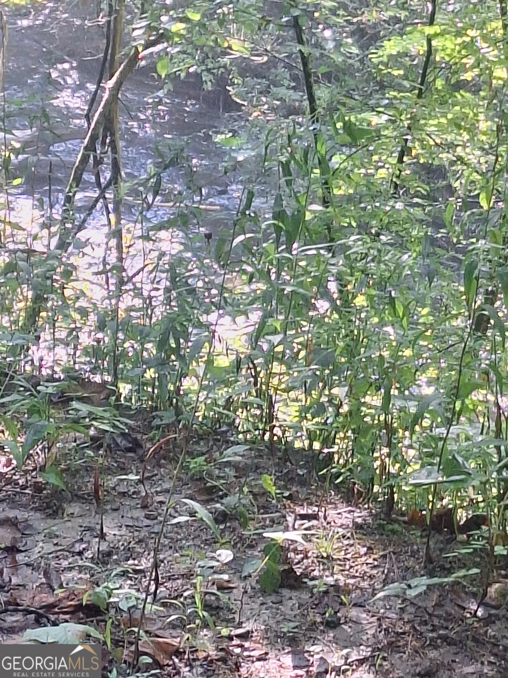 residential lot for sale at 0 Coopers Creek Road, Suches, GA 30572 — photo 3