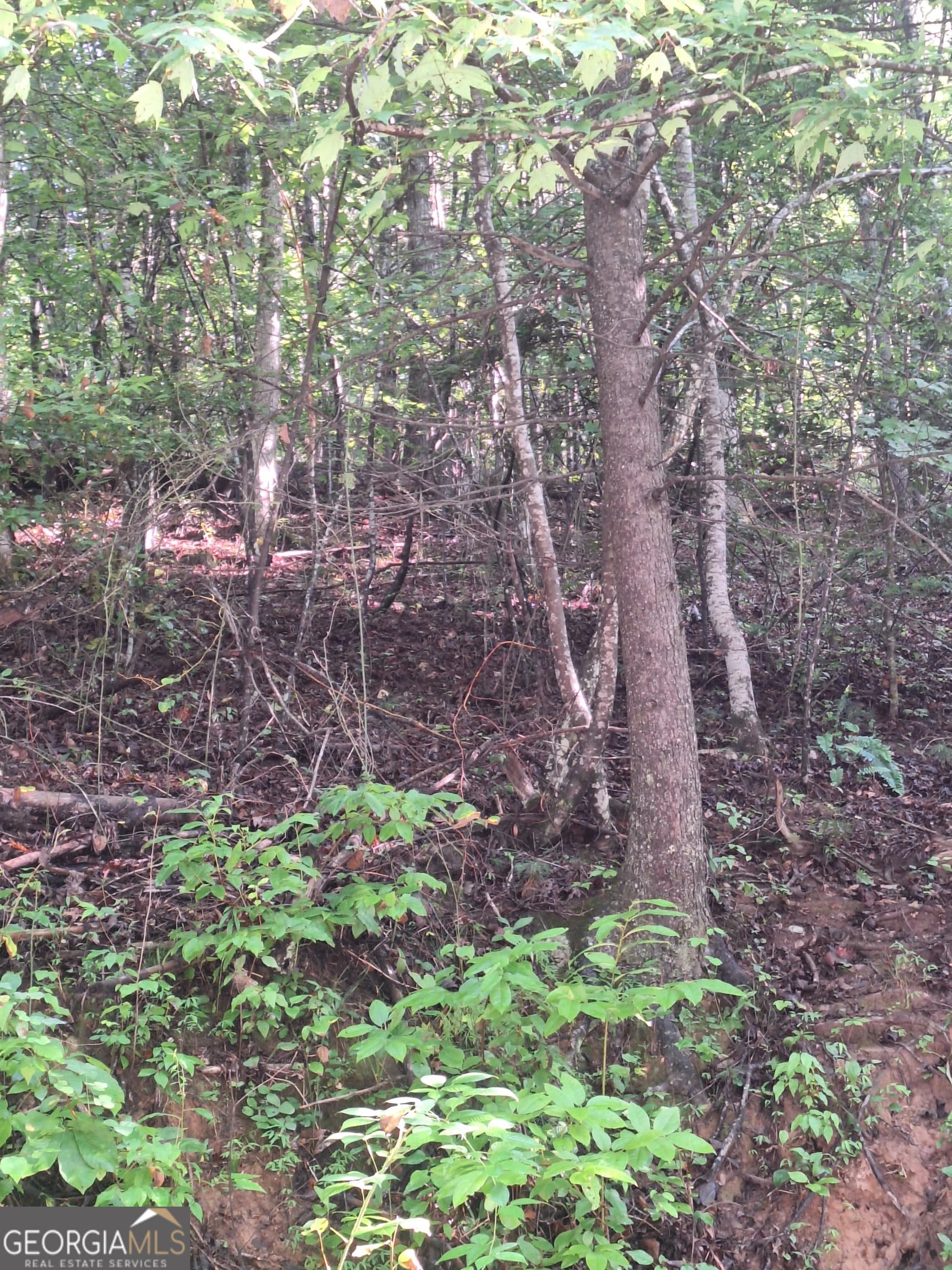 residential lot for sale at 0 Coopers Creek Road, Suches, GA 30572 — photo 1 of 5