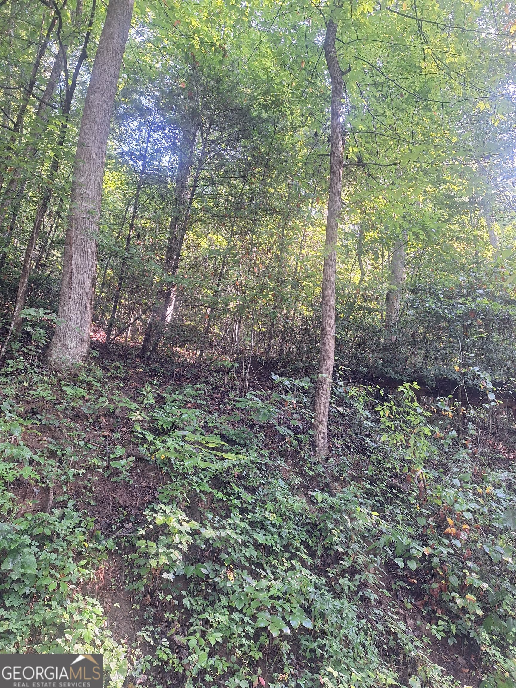 residential lot for sale at 0 Coopers Creek Road, Suches, GA 30572 — photo 5