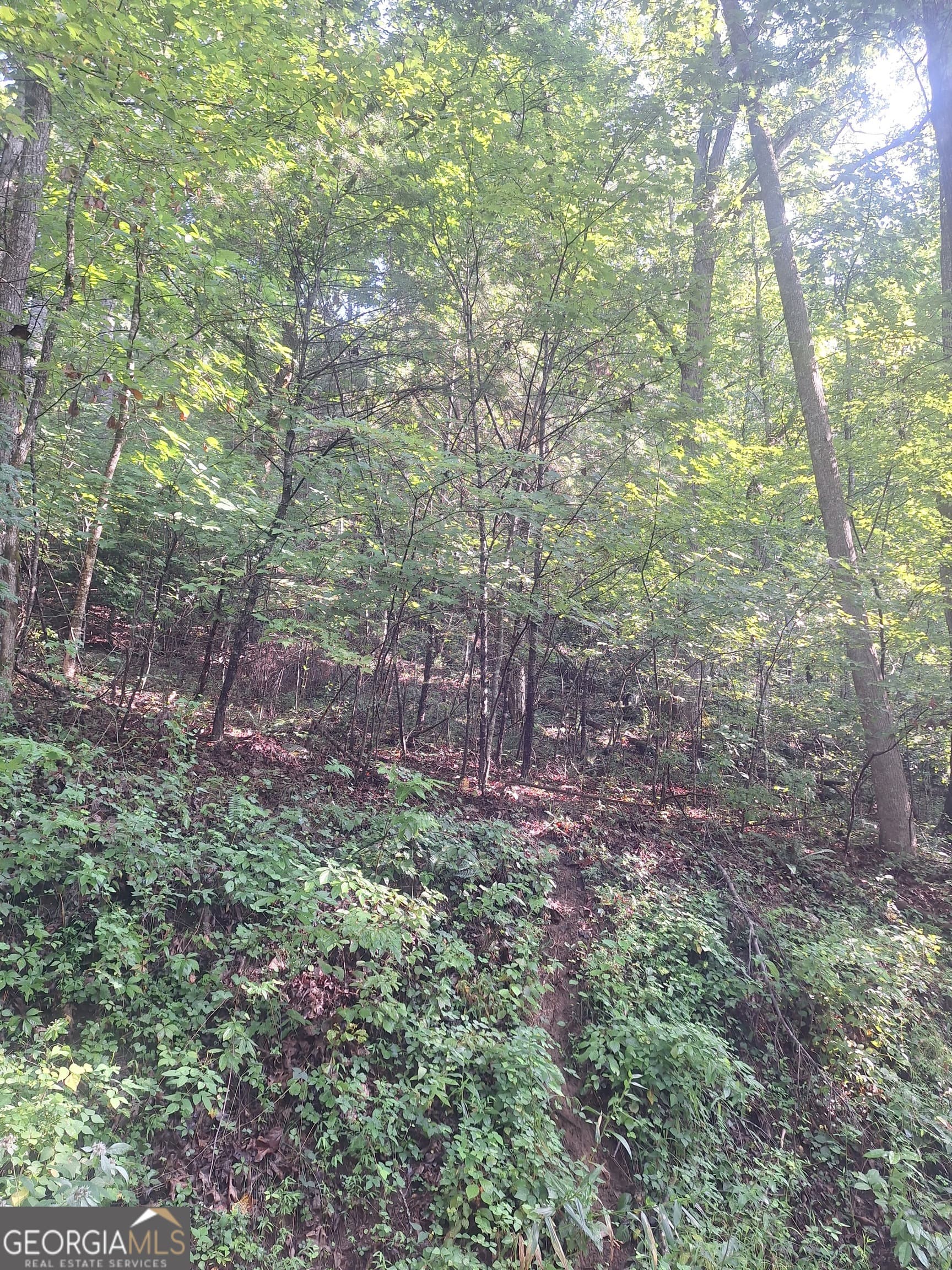 residential lot for sale at 0 Coopers Creek Road, Suches, GA 30572 — photo 4