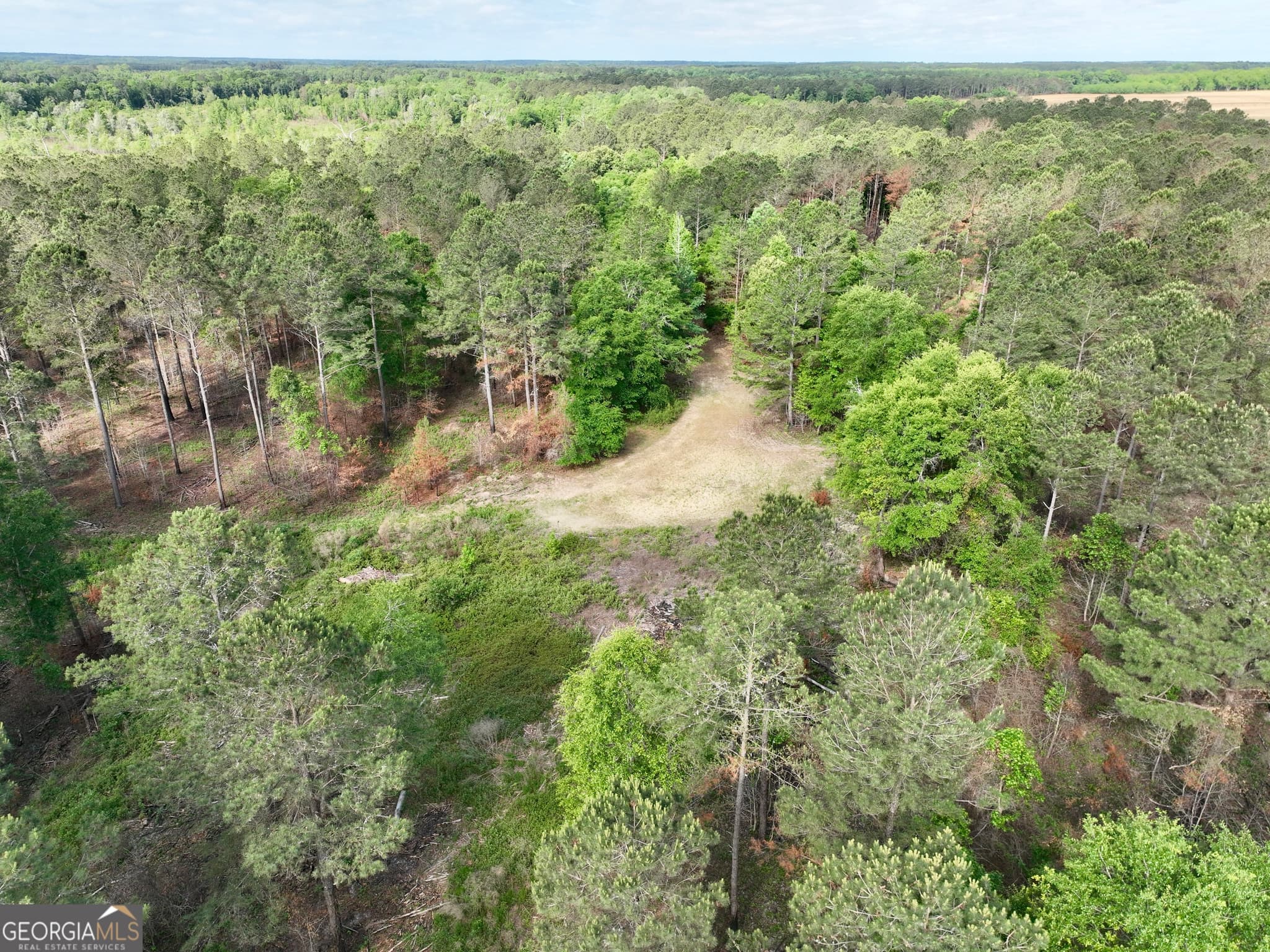 agriculture for sale at 0 Folds Road, Pineview, GA 31071 — photo 6