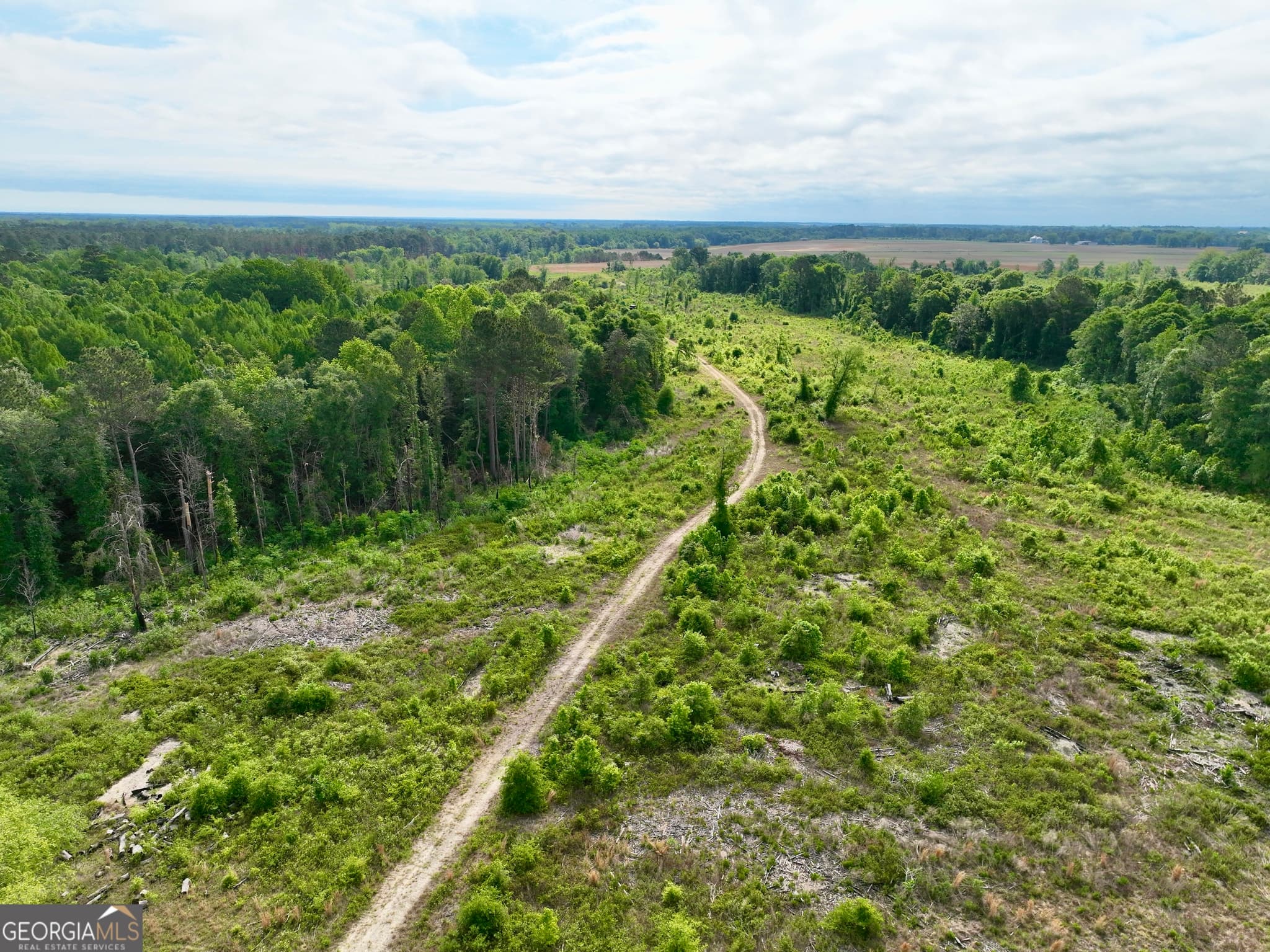 agriculture for sale at 0 Folds Road, Pineview, GA 31071 — photo 7