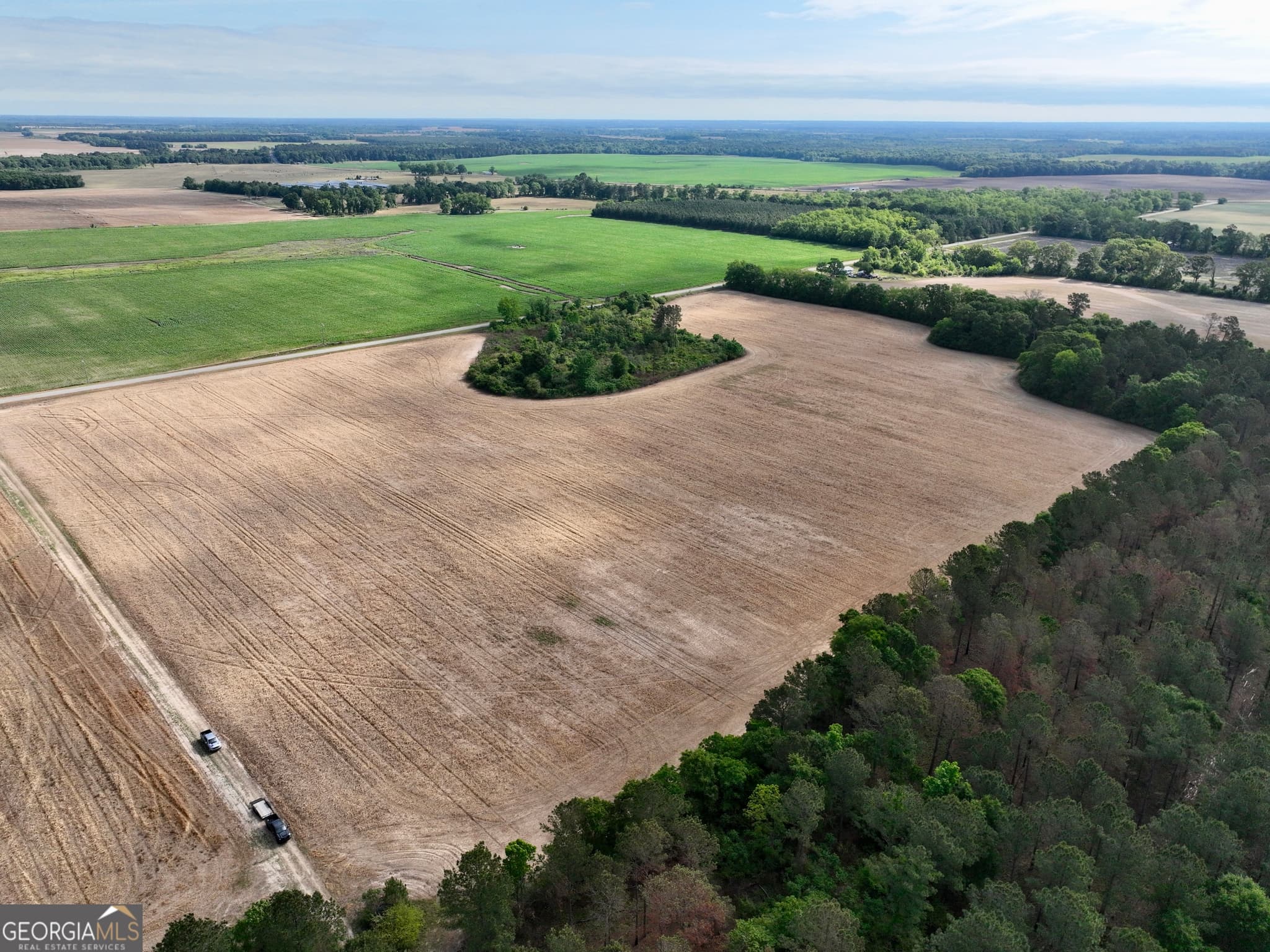 agriculture for sale at 0 Folds Road, Pineview, GA 31071 — photo 3