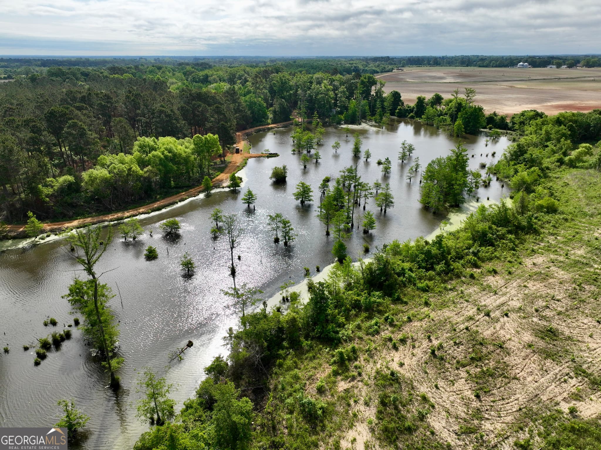 agriculture for sale at 0 Folds Road, Pineview, GA 31071